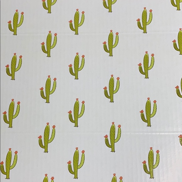 LAST SET ))) CLEARANCE 9 (10X6X4) Cactus Boxes - Picture 8 of 8